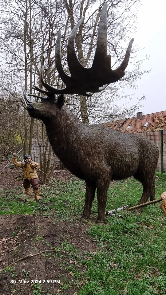 Riesenhirsch, von den Menschen der Steinzeit gejagt.