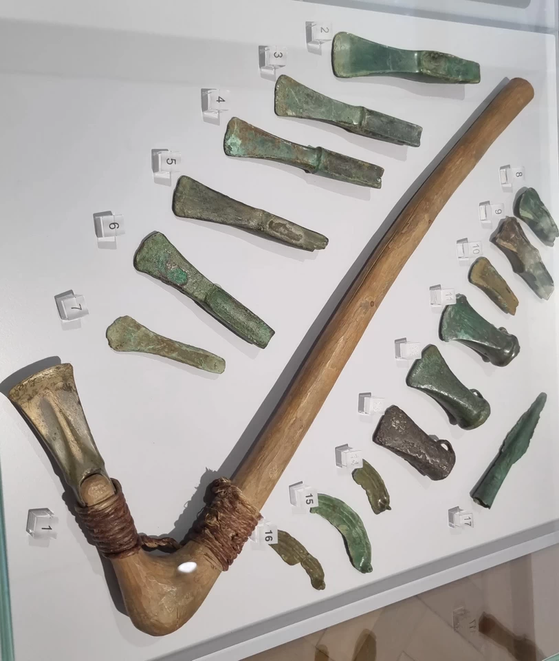 Eine Scautafel mit Werkzeugen aus der Bronzezeit.