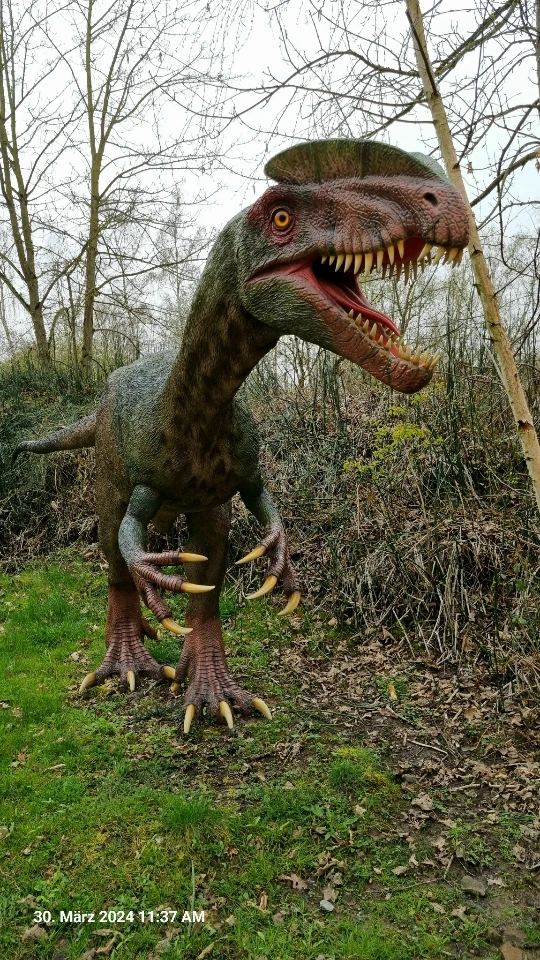 Ein Raubdinosaurier, der vor 200 Mill. Jahren gelebt hat.