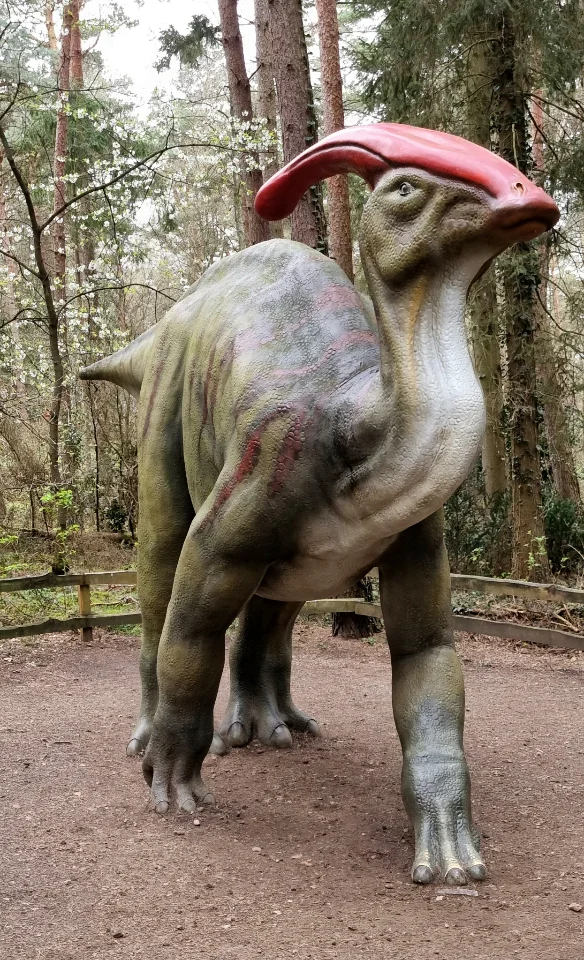 Ein Parasaurolophus mit rotem, hornartigen Kamm.