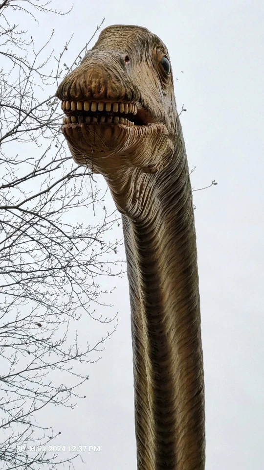 Ein Seismosaurusbild vom Kopf, dass in den Himmel ragt.