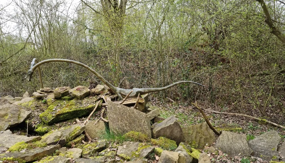 Ein Saurier mit sehrlangem, dünnen Hals