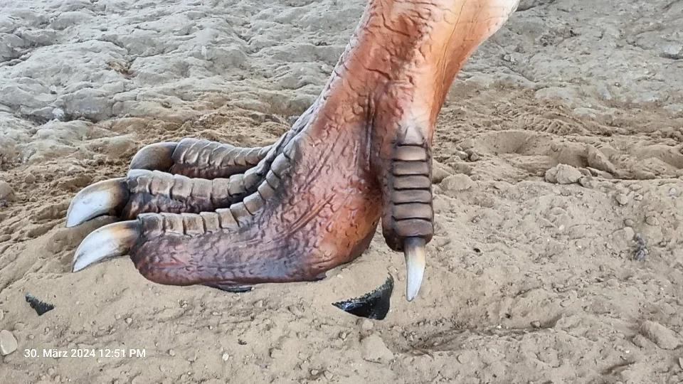 Fuß eines Fleischfressers