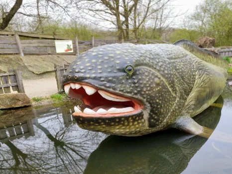 Ein großer Panzerfisch aus dem Devon