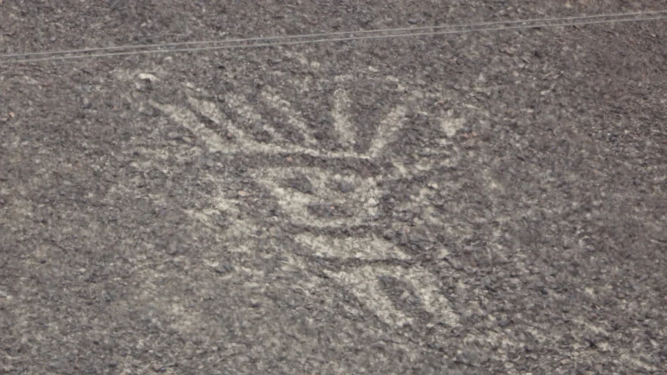 Palpa Geoglyphen